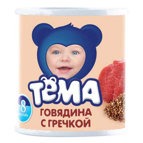 Пюре мясное Тёма Говядина с гречкой с 8 мес. 100 г в Дети