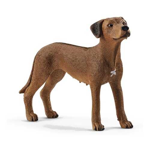 Фигурка Schleich Родезийский риджбек в Дети