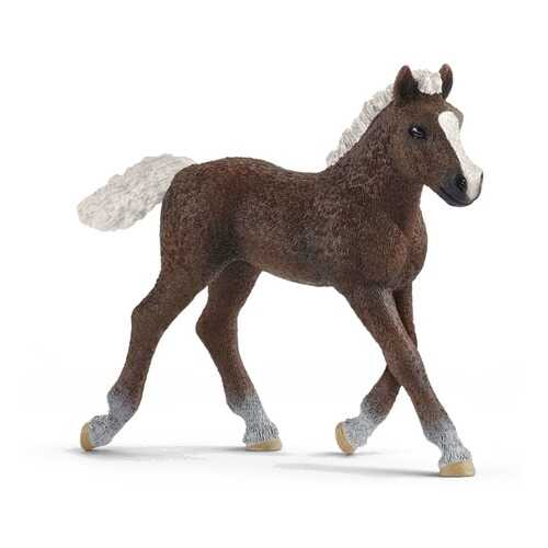 Фигурка Schleich Шварцвальдский жеребенок в Дети