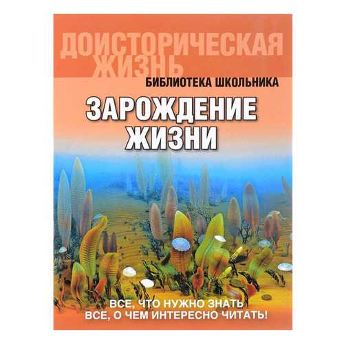 Библиотека Школьника. Зарождение Жизн и (Обложка). Габдуллин. в Дети